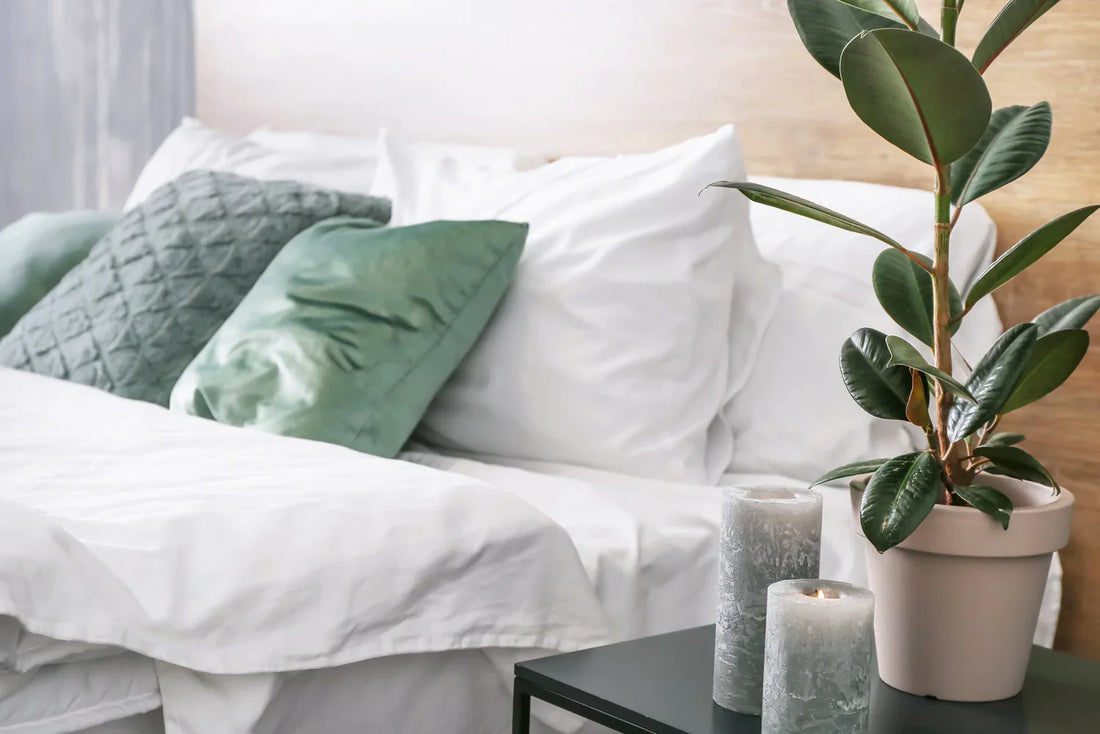 10+ types of blankets all you need to know