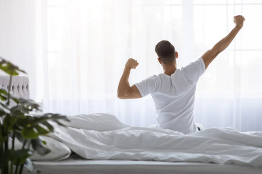 Taking Care Of Your Back; Giving It The Right Support And More