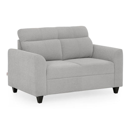 Zivo Plus Cloudy Gray Fabric 2 Seater Sofa
