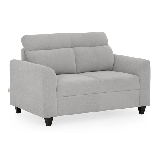 Zivo Plus Cloudy Gray Fabric 2 Seater Sofa