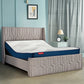 Wave Plus Adjustable Bed with Tranquil Lime Shell Upholstered Bed and Livein Orthopedic Mattress
