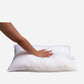 Bliss High Quality Fibre Pillow (Qty : 2)