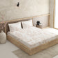 Fern Cream 100% Cotton Antibacterial Bedsheet Set