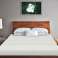 Kaya Chemical Free Natural Latex Mattress