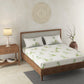 Landscape Cream 100% Cotton Antibacterial Bedsheet Set