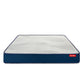 LiveIn Orthopedic Memory Foam Mattress