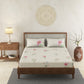 Padma Cream 100% Cotton Antibacterial Bedsheet Set