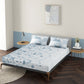 Popsicle Blue 100% Cotton Antibacterial Bedsheet Set