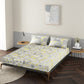 Popsicle Yellow 100% Cotton Antibacterial Bedsheet Set