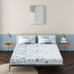Popsicle Blue 100% Cotton Antibacterial Bedsheet Set