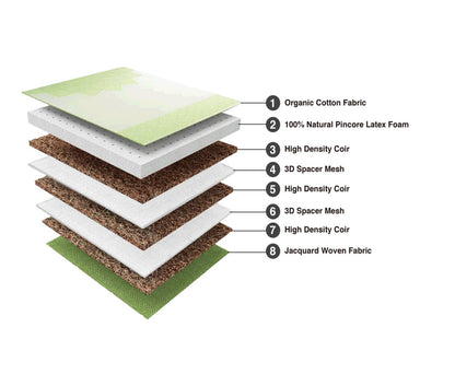 Tatva Natural Latex and Coir Mattress + Free Antiviral Mattress Protector